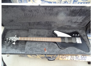 Gibson [Bass Series] Thunderbird Studio V