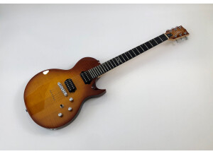 Chapman Guitars ML-2 (21665)