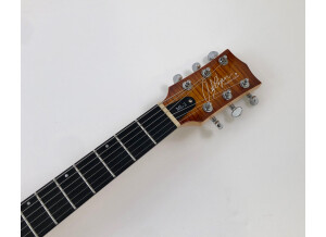 Chapman Guitars ML-2 (61964)