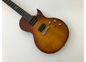 Chapman Guitars ML-2 (42087)