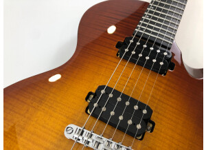 Chapman Guitars ML-2 (66373)