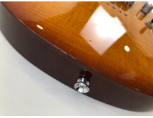 Chapman Guitars ML-2 (93953)