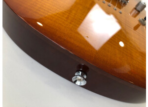 Chapman Guitars ML-2 (93953)