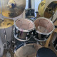 Forum Fusion 20" Forum Fusion 20"