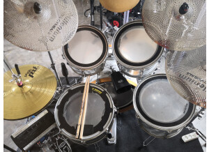 Pearl export elx  (87504)
