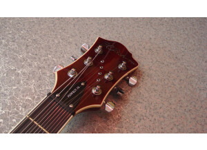 B.C. Rich Bich Perfect 10