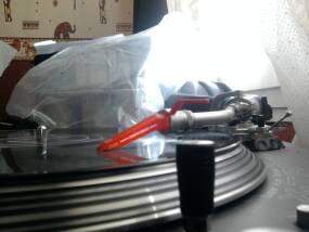 Synq Audio X-TRM 1