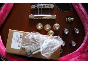 Gibson SG Naked (15575)