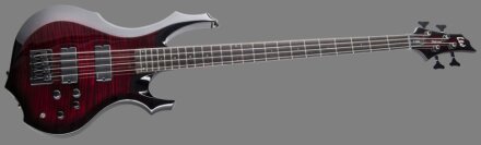 ESP LTD Deluxe F-1004 ESP LTD Deluxe F-1004