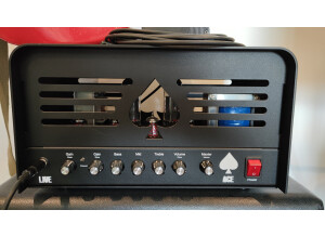 Ace Amplification Ace Live (78809)