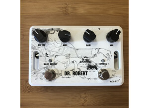 Aclam Guitars Dr Robert Overdrive Pedal