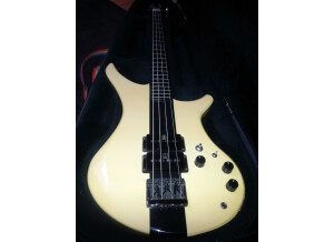 Vigier Passion (66264)