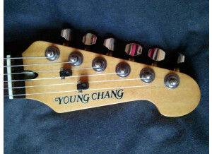 Young Chang Stratocaster (74078)