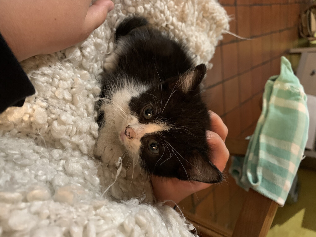 4641171.jpeg 4641171.jpeg