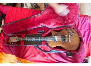 Gibson The Paul Firebrand (40934)