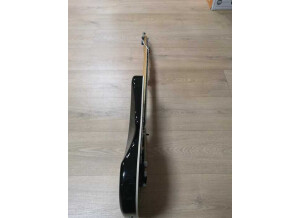 fender-stratocaster-tom-3787945@2x