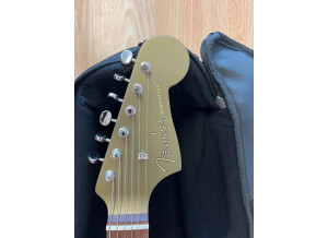 Fender Newporter Player (32899)