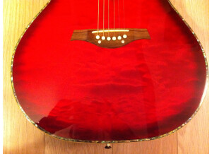 Tanglewood Odyssey (4087)