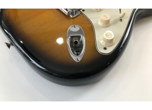 Fender Eric Johnson Stratocaster Maple (25957)