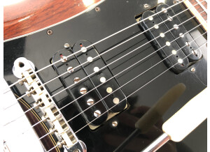 Gibson SG Standard (1969) (86419)