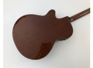 Tanglewood TW47 E (87692)