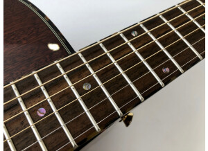 Tanglewood TW47 E (28345)