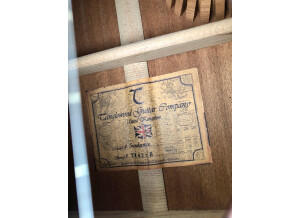 Tanglewood TW47 E (53487)