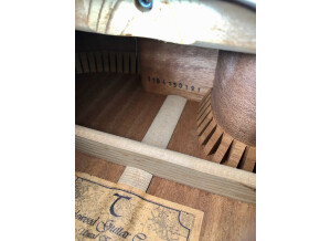 Tanglewood TW47 E (18207)