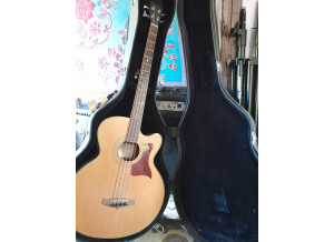 Tanglewood TW155 A/Bass