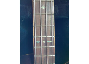 Tanglewood TW155 A/Bass