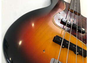 Fender Jazz Bass (1966) (3772)