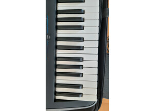 Yamaha MODX6 (9362)