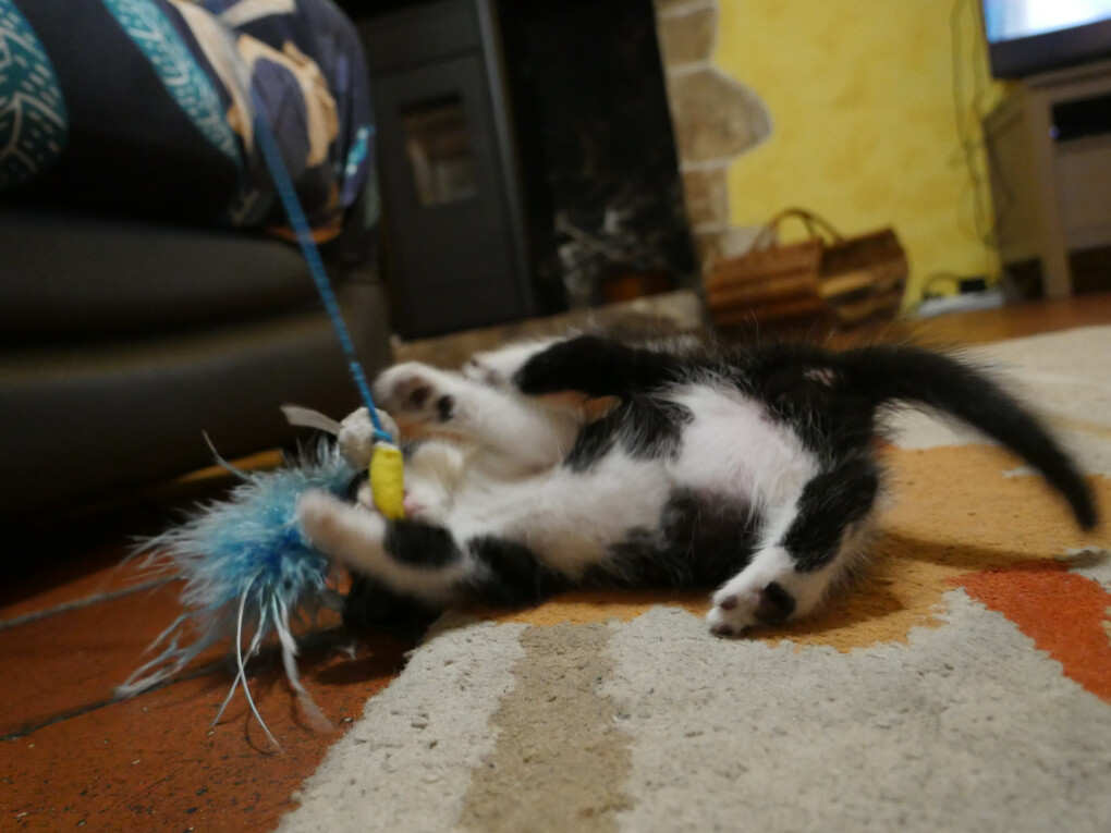 4665321.jpg 4665321.jpg