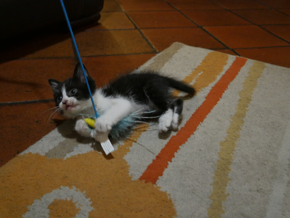 4665324.jpg 4665324.jpg