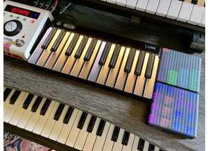 ROLI Lumi Studio Edition (76414)