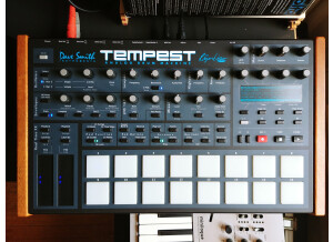 Dave Smith Instruments Tempest (77508)