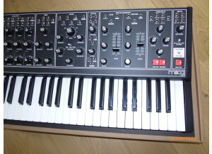 Moog Music Matriarch (6191)