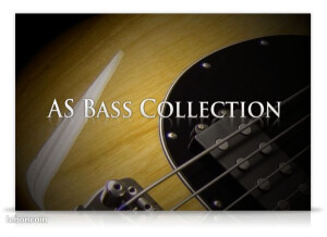 AcousticSamples AS Bass Collection (99022)