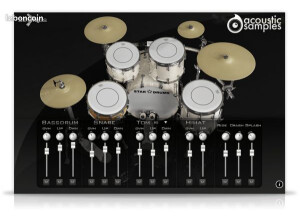 AcousticSamples AS Bass Collection (13625)