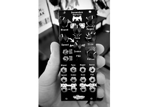 Noise Engineering Desmodus Versio (14045)