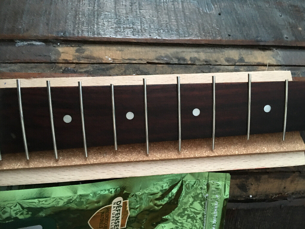 4677003.jpeg 4677003.jpeg