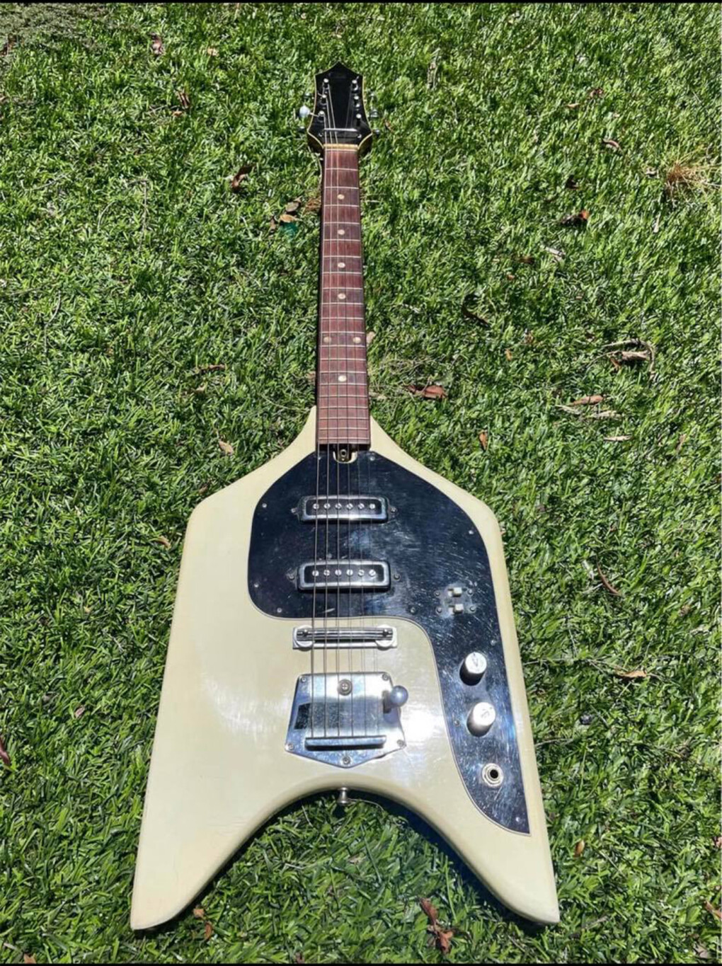 4678320.jpg 4678320.jpg