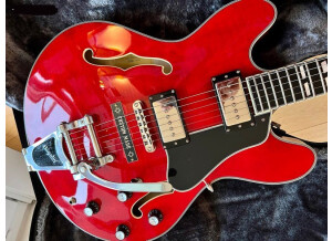 Eastman T486B (96028)