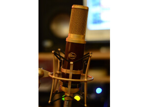 Blue Microphones Woodpecker (39659)