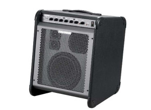 Fishman Loudbox 100 (45486)