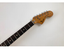 Fender Stratocaster [1965-1984] (44213)