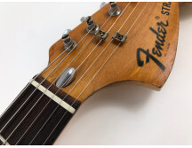 Fender Stratocaster [1965-1984] (95570)