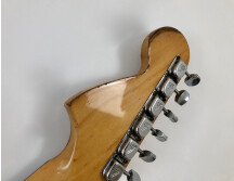 Fender Stratocaster [1965-1984] (10196)