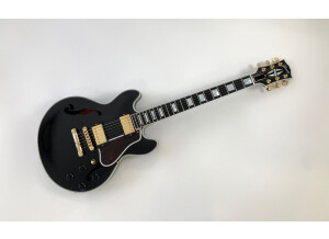 Gibson ES-359 (80127)