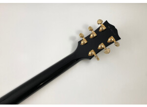 Gibson ES-359 (192)